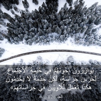 Picture 03 - اَلْعَدَد 8:26 AVD - يُوازِرُونَ إِخْوَتَهُمْ - Bible Verse Picture
