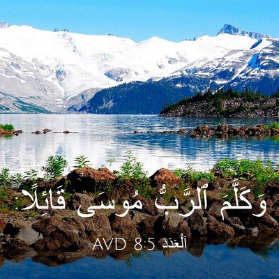 Picture 03 - اَلْعَدَد 8:5 AVD - وَكَلَّمَ ٱلرَّبُّ مُوسَى - Bible Verse Picture