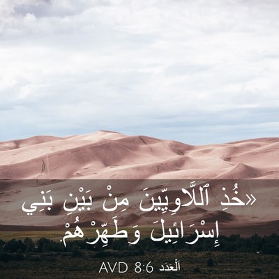Picture 03 - اَلْعَدَد 8:6 AVD - «خُذِ ٱللَّاوِيِّينَ مِنْ - Bible Verse Picture