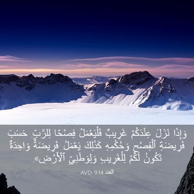 Picture 03 - اَلْعَدَد 9:14 AVD - وَإِذَا نَزَلَ عِنْدَكُمْ - Bible Verse Picture