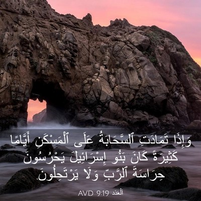 Picture 03 - اَلْعَدَد 9:19 AVD - وَإِذَا تَمَادَتِ - Bible Verse Picture