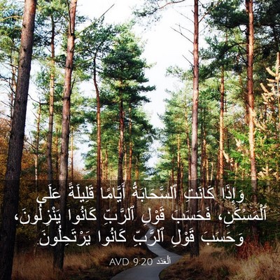 Picture 03 - اَلْعَدَد 9:20 AVD - وَإِذَا كَانَتِ - Bible Verse Picture