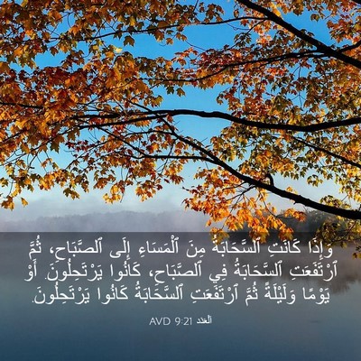 Picture 03 - اَلْعَدَد 9:21 AVD - وَإِذَا كَانَتِ - Bible Verse Picture