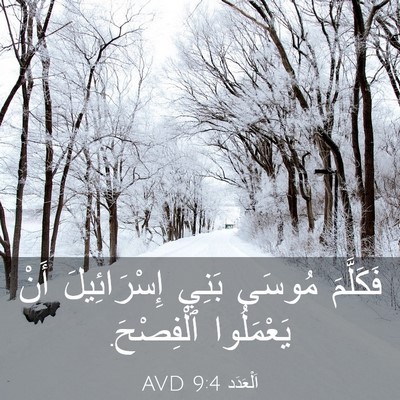 Picture 03 - اَلْعَدَد 9:4 AVD - فَكَلَّمَ مُوسَى بَنِي - Bible Verse Picture