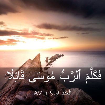 Picture 03 - اَلْعَدَد 9:9 AVD - فَكَلَّمَ ٱلرَّبُّ مُوسَى - Bible Verse Picture