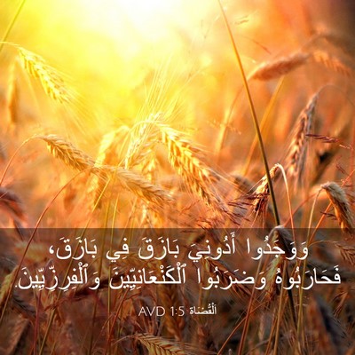 Picture 03 - اَلْقُضَاة 1:5 AVD - وَوَجَدُوا أَدُونِيَ - Bible Verse Picture