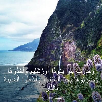 Picture 03 - اَلْقُضَاة 1:8 AVD - وَحَارَبَ بَنُو يَهُوذَا - Bible Verse Picture