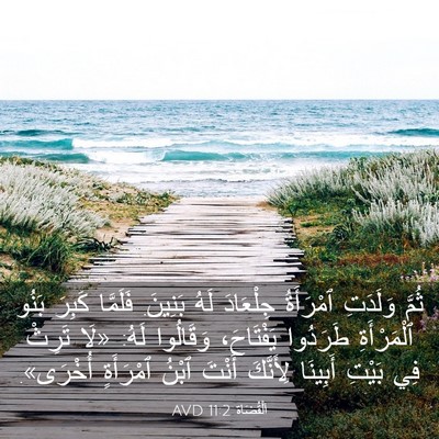 Picture 03 - اَلْقُضَاة 11:2 AVD - ثُمَّ وَلَدَتِ ٱمْرَأَةُ - Bible Verse Picture