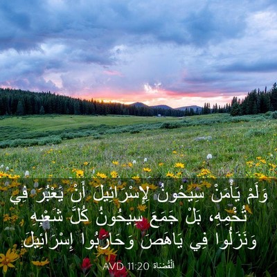 Picture 03 - اَلْقُضَاة 11:20 AVD - وَلَمْ يَأْمَنْ سِيحُونُ - Bible Verse Picture