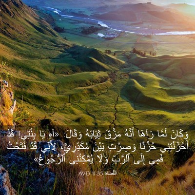 Picture 03 - اَلْقُضَاة 11:35 AVD - وَكَانَ لَمَّا رَآهَا - Bible Verse Picture