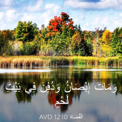 Picture 03 - اَلْقُضَاة 12:10 AVD - وَمَاتَ إِبْصَانُ - Bible Verse Picture