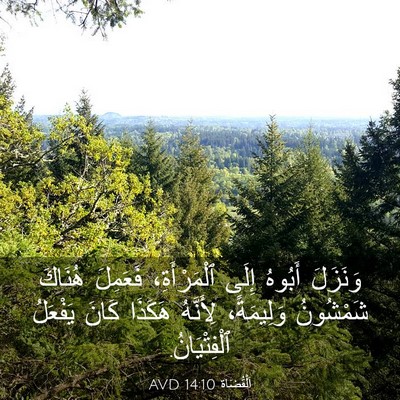 Picture 03 - اَلْقُضَاة 14:10 AVD - وَنَزَلَ أَبُوهُ إِلَى - Bible Verse Picture