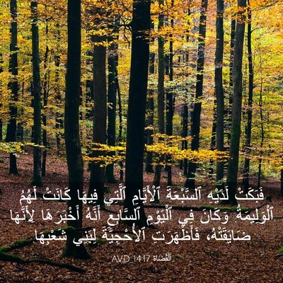 Picture 03 - اَلْقُضَاة 14:17 AVD - فَبَكَتْ لَدَيْهِ - Bible Verse Picture