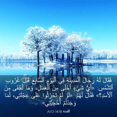Picture 03 - اَلْقُضَاة 14:18 AVD - فَقَالَ لَهُ رِجَالُ - Bible Verse Picture