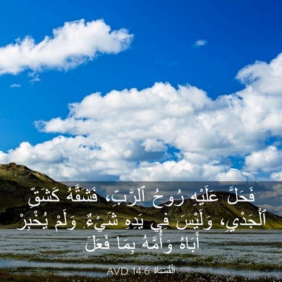 Picture 03 - اَلْقُضَاة 14:6 AVD - فَحَلَّ عَلَيْهِ رُوحُ - Bible Verse Picture