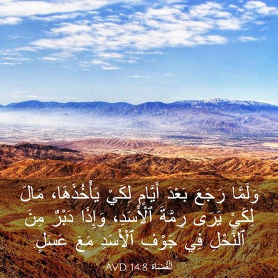 Picture 03 - اَلْقُضَاة 14:8 AVD - وَلَمَّا رَجَعَ بَعْدَ - Bible Verse Picture