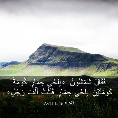 Picture 03 - اَلْقُضَاة 15:16 AVD - فَقَالَ شَمْشُونُ: - Bible Verse Picture