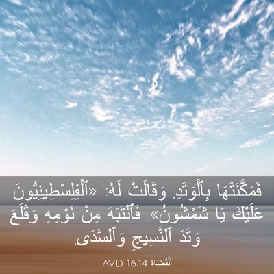 Picture 03 - اَلْقُضَاة 16:14 AVD - فَمَكَّنَتْهَا - Bible Verse Picture