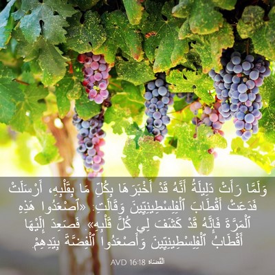 Picture 03 - اَلْقُضَاة 16:18 AVD - وَلَمَّا رَأَتْ دَلِيلَةُ - Bible Verse Picture