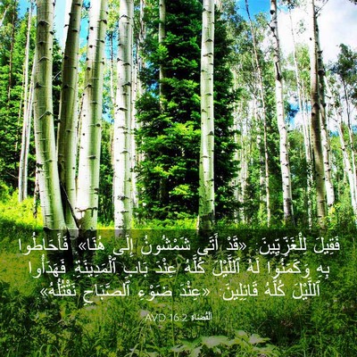Picture 03 - اَلْقُضَاة 16:2 AVD - فَقِيلَ لِلْغَزِّيِّينَ: - Bible Verse Picture
