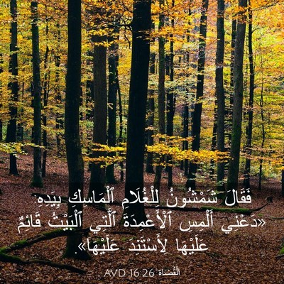 Picture 03 - اَلْقُضَاة 16:26 AVD - فَقَالَ شَمْشُونُ - Bible Verse Picture