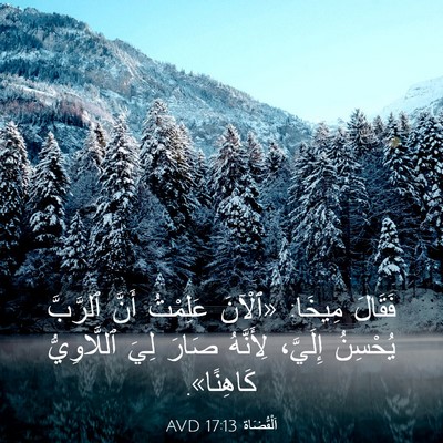 Picture 03 - اَلْقُضَاة 17:13 AVD - فَقَالَ مِيخَا: «ٱلْآنَ - Bible Verse Picture