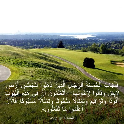 Picture 03 - اَلْقُضَاة 18:14 AVD - فَأَجَابَ ٱلْخَمْسَةُ - Bible Verse Picture