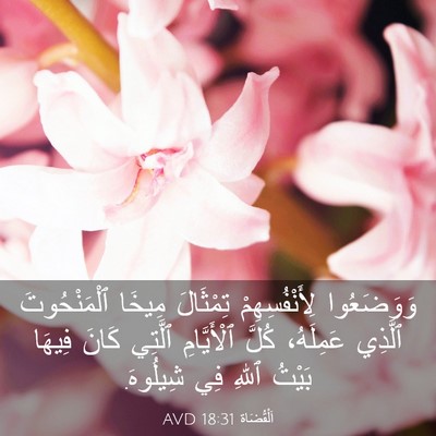 Picture 03 - اَلْقُضَاة 18:31 AVD - وَوَضَعُوا لِأَنْفُسِهِمْ - Bible Verse Picture