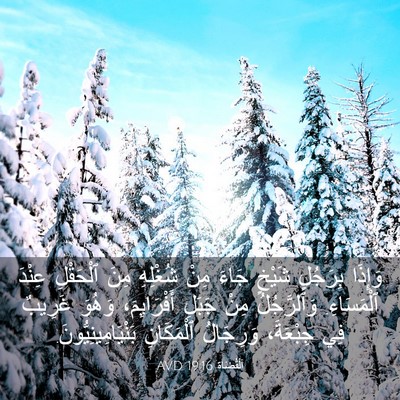Picture 03 - اَلْقُضَاة 19:16 AVD - وَإِذَا بِرَجُلٍ شَيْخٍ - Bible Verse Picture