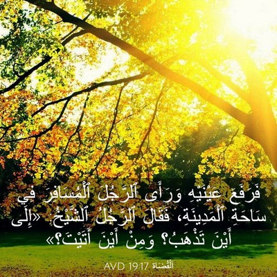 Picture 03 - اَلْقُضَاة 19:17 AVD - فَرَفَعَ عَيْنَيْهِ - Bible Verse Picture