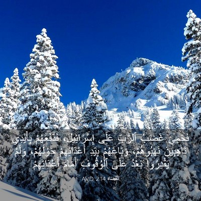 Picture 03 - اَلْقُضَاة 2:14 AVD - فَحَمِيَ غَضَبُ ٱلرَّبِّ - Bible Verse Picture