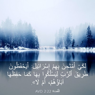 Picture 03 - اَلْقُضَاة 2:22 AVD - لِكَيْ أَمْتَحِنَ بِهِمْ - Bible Verse Picture
