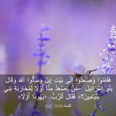 Picture 03 - اَلْقُضَاة 20:18 AVD - فَقَامُوا وَصَعِدُوا - Bible Verse Picture