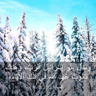 Picture 03 - اَلْقُضَاة 20:27 AVD - وَسَأَلَ بَنُو - Bible Verse Picture