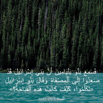 Picture 03 - اَلْقُضَاة 20:3 AVD - فَسَمِعَ بَنُو - Bible Verse Picture