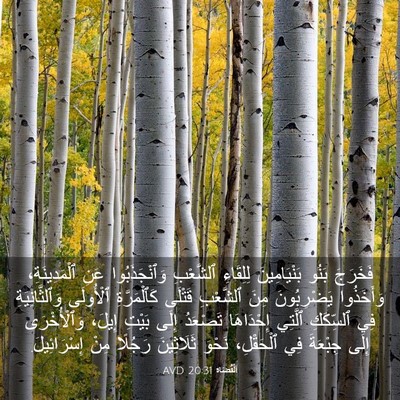 Picture 03 - اَلْقُضَاة 20:31 AVD - فَخَرَجَ بَنُو - Bible Verse Picture