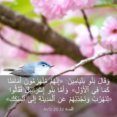 Picture 03 - اَلْقُضَاة 20:32 AVD - وَقَالَ بَنُو - Bible Verse Picture