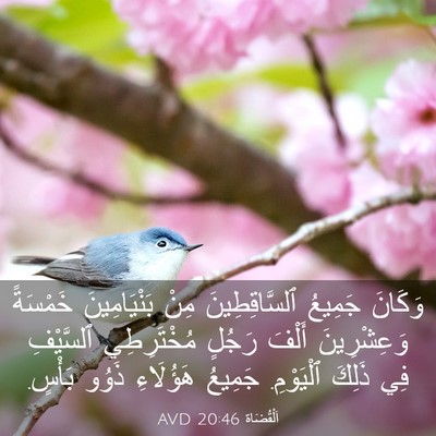 Picture 03 - اَلْقُضَاة 20:46 AVD - وَكَانَ جَمِيعُ - Bible Verse Picture