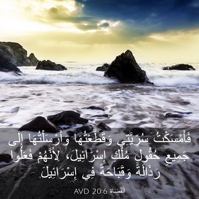 Picture 03 - اَلْقُضَاة 20:6 AVD - فَأَمْسَكْتُ سُرِّيَّتِي - Bible Verse Picture