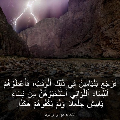 Picture 03 - اَلْقُضَاة 21:14 AVD - فَرَجَعَ بَنْيَامِينُ فِي - Bible Verse Picture