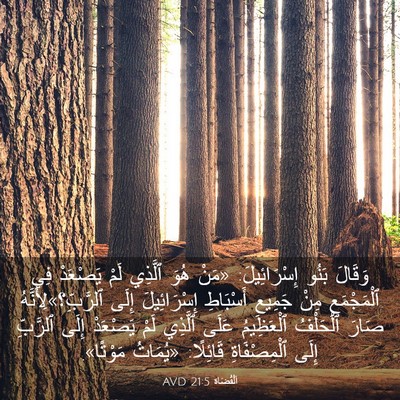 Picture 03 - اَلْقُضَاة 21:5 AVD - وَقَالَ بَنُو - Bible Verse Picture