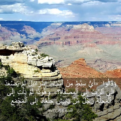 Picture 03 - اَلْقُضَاة 21:8 AVD - وَقَالُوا: «أَيُّ سِبْطٍ - Bible Verse Picture