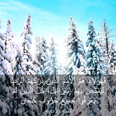 Picture 03 - اَلْقُضَاة 3:1 AVD - فَهَؤُلَاءِ هُمُ - Bible Verse Picture
