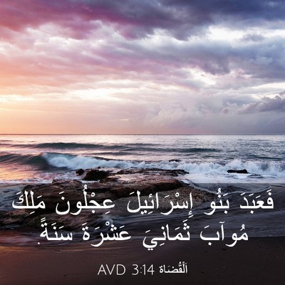 Picture 03 - اَلْقُضَاة 3:14 AVD - فَعَبَدَ بَنُو - Bible Verse Picture