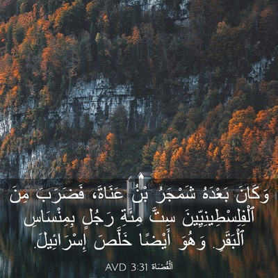 Picture 03 - اَلْقُضَاة 3:31 AVD - وَكَانَ بَعْدَهُ شَمْجَرُ - Bible Verse Picture