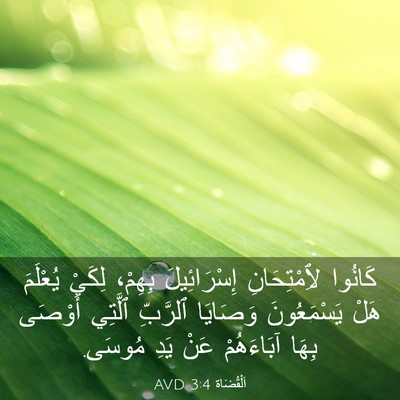 Picture 03 - اَلْقُضَاة 3:4 AVD - كَانُوا لِٱمْتِحَانِ - Bible Verse Picture