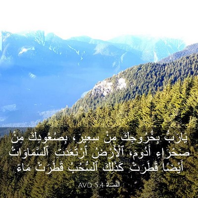 Picture 03 - اَلْقُضَاة 5:4 AVD - يَارَبُّ بِخُرُوجِكَ مِنْ - Bible Verse Picture