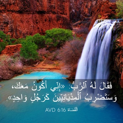Picture 03 - اَلْقُضَاة 6:16 AVD - فَقَالَ لَهُ ٱلرَّبُّ: - Bible Verse Picture
