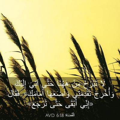 Picture 03 - اَلْقُضَاة 6:18 AVD - لَا تَبْرَحْ مِنْ هَهُنَا - Bible Verse Picture