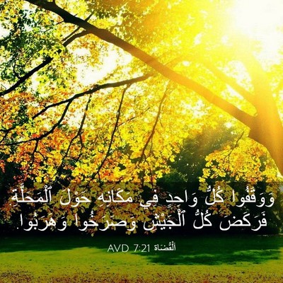 Picture 03 - اَلْقُضَاة 7:21 AVD - وَوَقَفُوا كُلُّ وَاحِدٍ - Bible Verse Picture